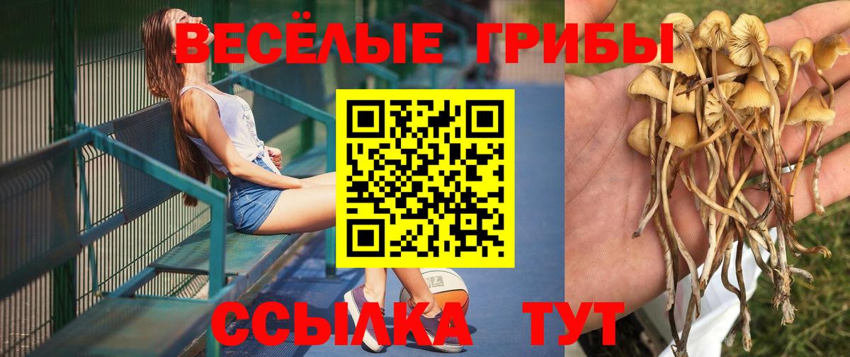 Симферополь  Галлюциногенные грибы ЛСД  Вход с VPN 