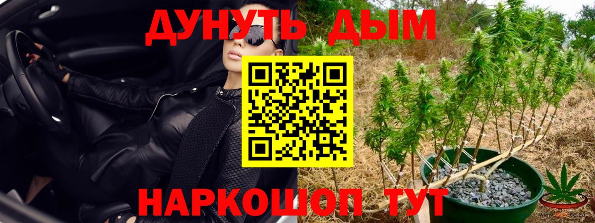 Конопля AK-47 Симферополь